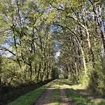 A La Jolie Campagne - Et Table D'hotes 3* Lorigne