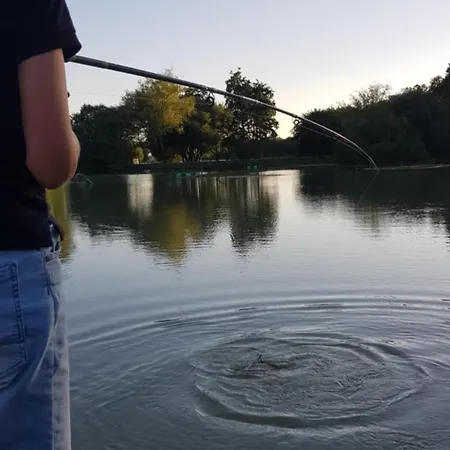 Couette-café A La Jolie Campagne - Et Table D'hôtes 3*