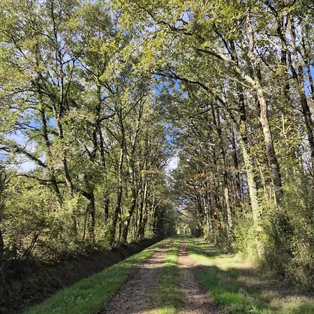 A La Jolie Campagne - Et Table D'hôtes 3* Lorigné