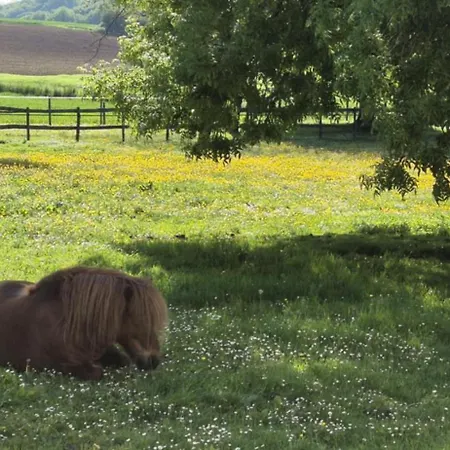 A La Jolie Campagne - Et Table D'hôtes