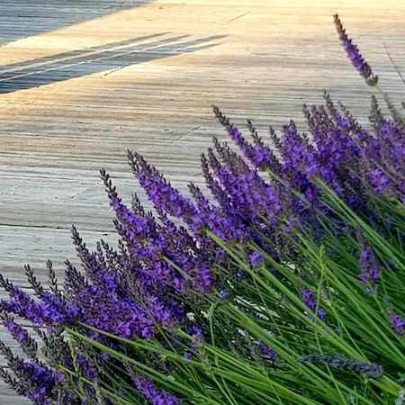 A La Jolie Campagne - Et Table D'hôtes Lorigné