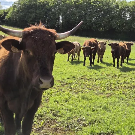 A La Jolie Campagne - Et Table D'hotes Bed & Breakfast Lorigne