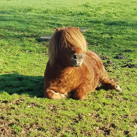 A La Jolie Campagne - Et Table D'hôtes 3* Lorigné