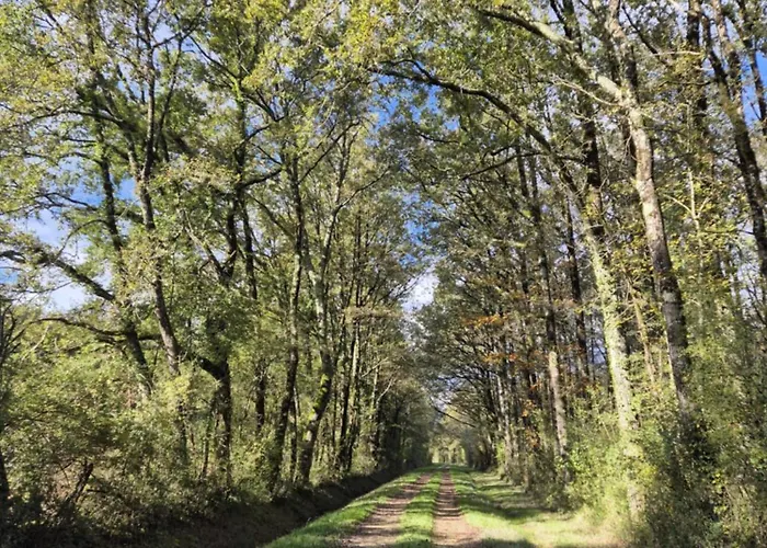 A La Jolie Campagne - Et Table D'hotes 3* Lorigne