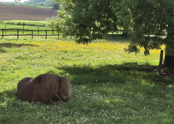 A La Jolie Campagne - Et Table D'hotes