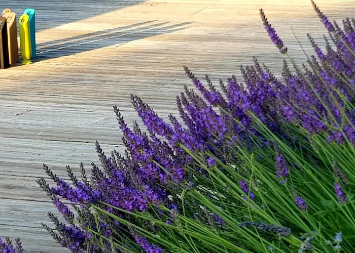 A La Jolie Campagne - Et Table D'hotes Lorigne