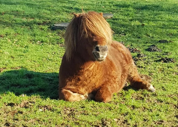 A La Jolie Campagne - Et Table D'hotes 3* Lorigne